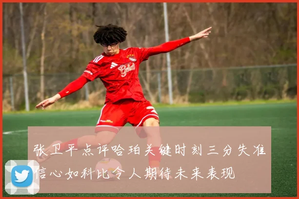 张卫平点评哈珀关键时刻三分失准信心如科比令人期待未来表现