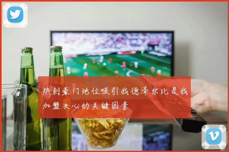 热刺豪门地位吸引我德泽尔比是我加盟决心的关键因素