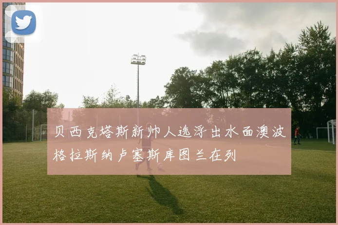 贝西克塔斯新帅人选浮出水面澳波格拉斯纳卢塞斯库图兰在列