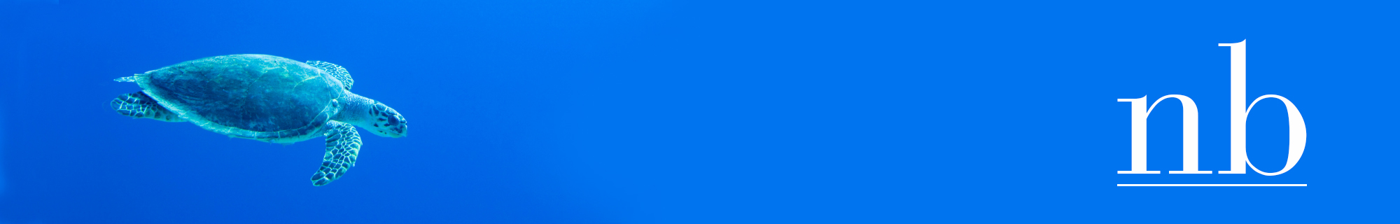 individual and couples counselling